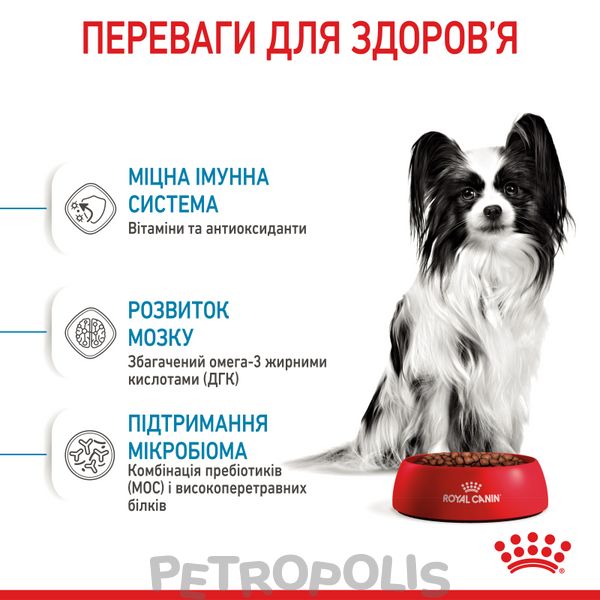 Сухий корм для цуценят Royal Canin XSMALL PUPPY 500г 10020051 фото