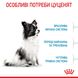 Сухий корм для цуценят Royal Canin XSMALL PUPPY 500г 10020051 фото 3