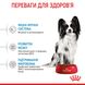 Сухий корм для цуценят Royal Canin XSMALL PUPPY 500г 10020051 фото 4