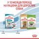 Сухий корм для цуценят Royal Canin XSMALL PUPPY 500г 10020051 фото 6