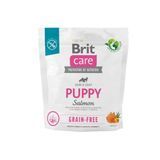 Brit Care Dog Grain-free Puppy - беззерновой сухой корм для щенков с лососем 1 кг 172193 фото