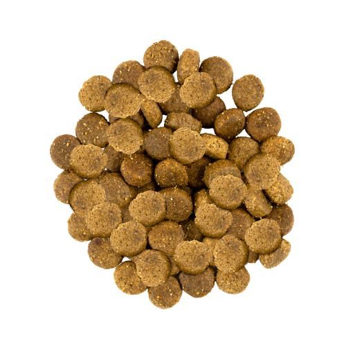 Корм сухий Savory Medium Breed rich in Fresh Turkey and Lamb для дорослих собак середніх порід від 10 до 25 кг зі свіжим ягням та індичкою 1 кг 30259 фото