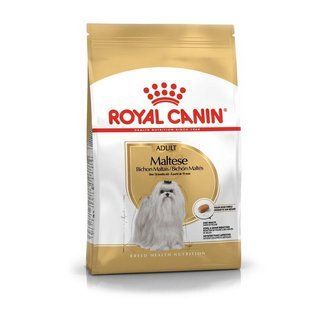 Royal Canin Maltese - сухий корм для дорослих собак породи мальтійська болонка, 500г 3995005 фото