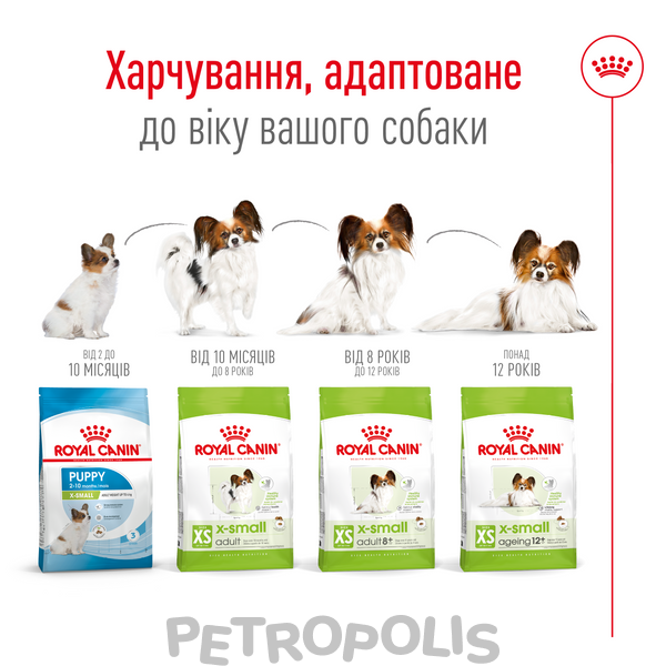 Сухий корм для собак Royal Canin XSMALL ADULT 8+, 3кг 10040300 фото