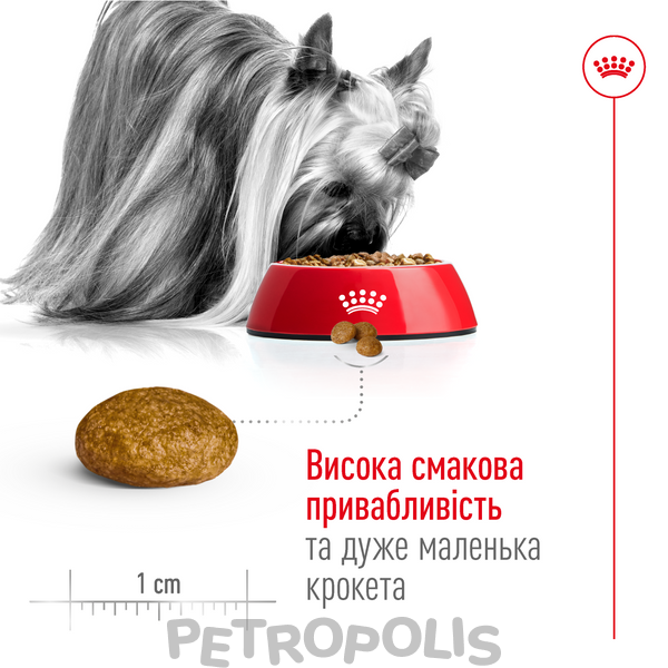 Сухий корм для собак Royal Canin XSMALL ADULT 8+, 3кг 10040300 фото