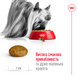 Сухий корм для собак Royal Canin XSMALL ADULT 8+, 3кг 10040300 фото 4