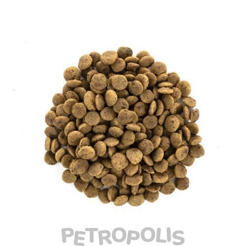 Brit Care Cat Grain Free Large Power Vitality - сухой корм для взрослых кошек крупных пород с уткой и курицей 400 г 171311/0921 фото