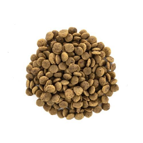 Корм сухий Brit Care Cat Grain Free Large Power Vitality для дорослих котів великих порід з качкою та куркою 400 г 171311/0921 фото