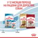 Сухий корм для собак Royal Canin MEDIUM PUPPY 1кг 30030101 фото 7