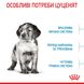 Сухий корм для собак Royal Canin MEDIUM PUPPY 1кг 30030101 фото 4