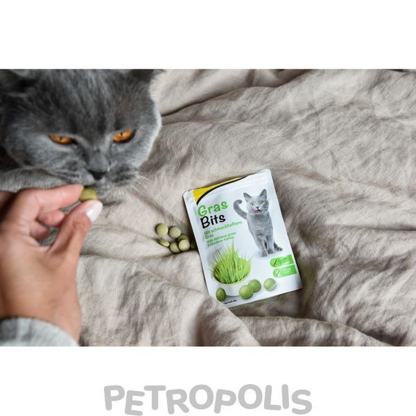 Витамизированные таблетки для кошек GimCat Gras Bits травяные шарики, пауч, 425 г G-427270 фото