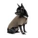 Вишиванка Pet Fashion «Marco» для собак, розмір XXS, льняна 1111172872 фото 2