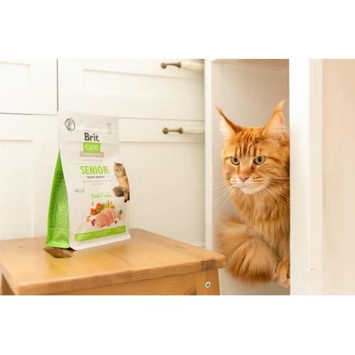 Корм сухий Brit Care Cat Grain Free Senior Weight Control для котів похилого віку з надмірною вагою з куркою 400 г 171315/0952 фото